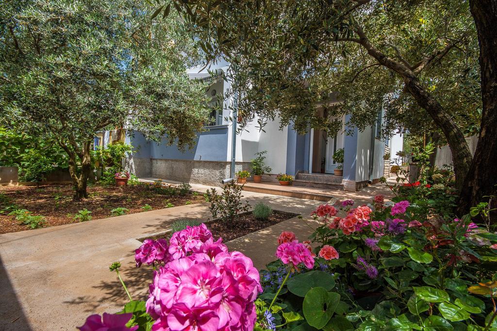 Apartman Antisin Zadar Ngoại thất bức ảnh