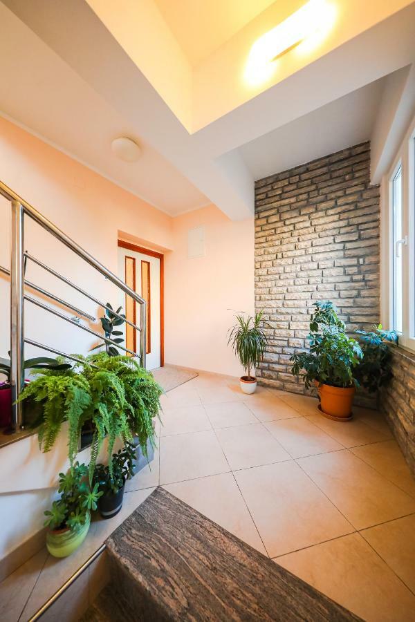 Apartman Antisin Zadar Ngoại thất bức ảnh