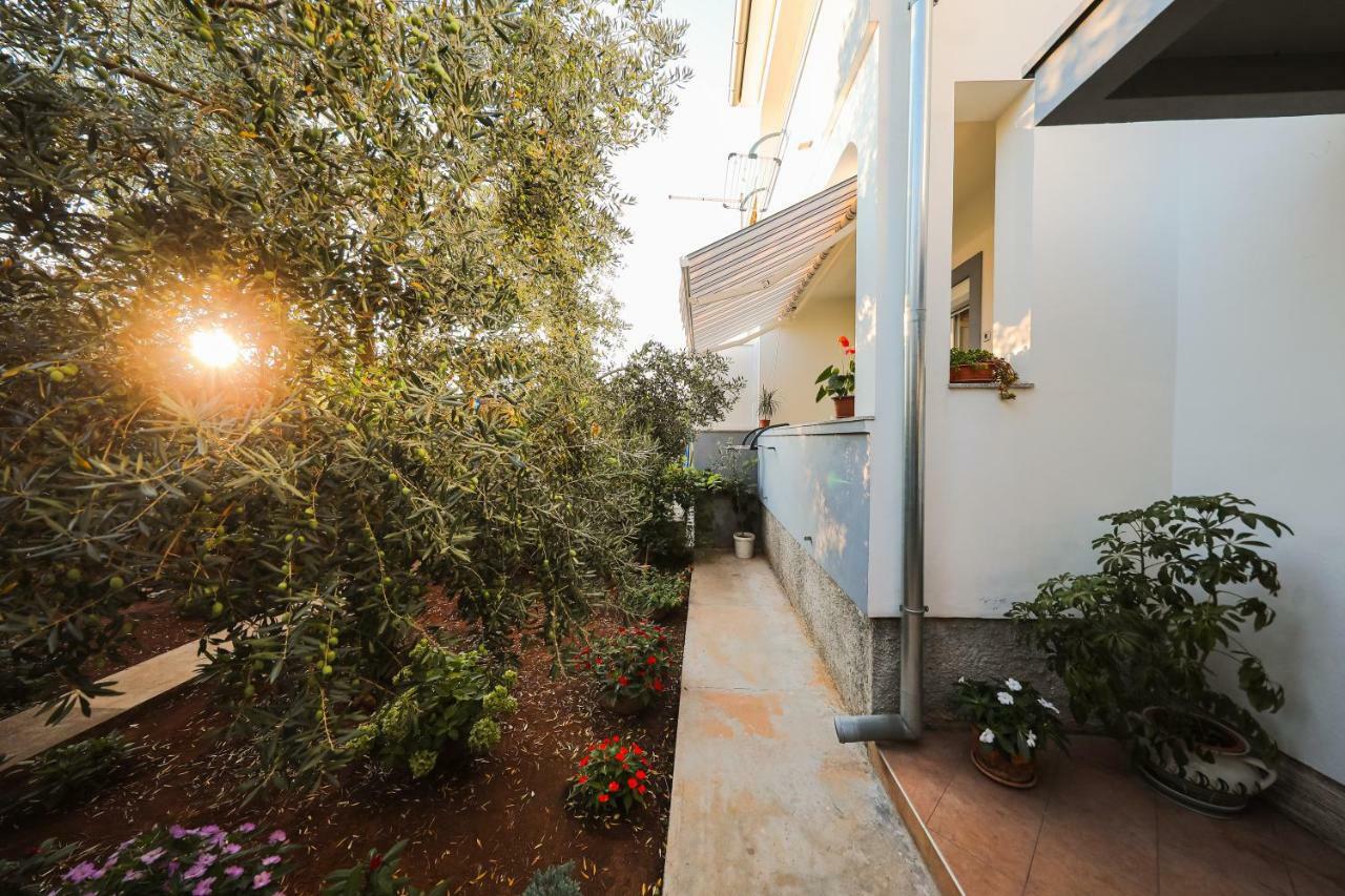 Apartman Antisin Zadar Ngoại thất bức ảnh